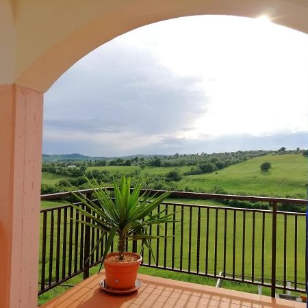 Agriturismo Podere Verdicchio Scansano Εξωτερικό φωτογραφία