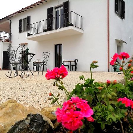 Agriturismo Podere Verdicchio Scansano Εξωτερικό φωτογραφία