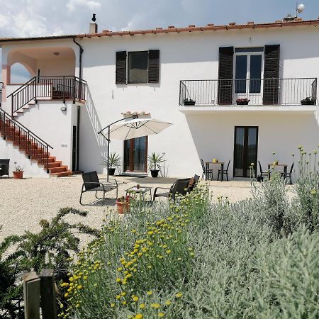 Agriturismo Podere Verdicchio Scansano Εξωτερικό φωτογραφία