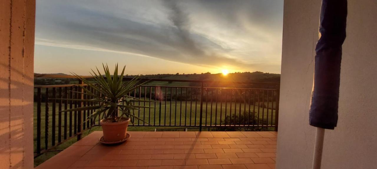 Agriturismo Podere Verdicchio Scansano Εξωτερικό φωτογραφία