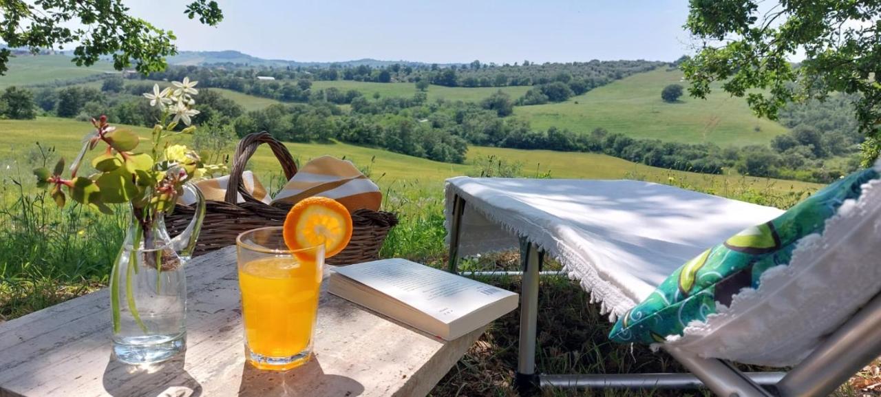 Agriturismo Podere Verdicchio Scansano Εξωτερικό φωτογραφία