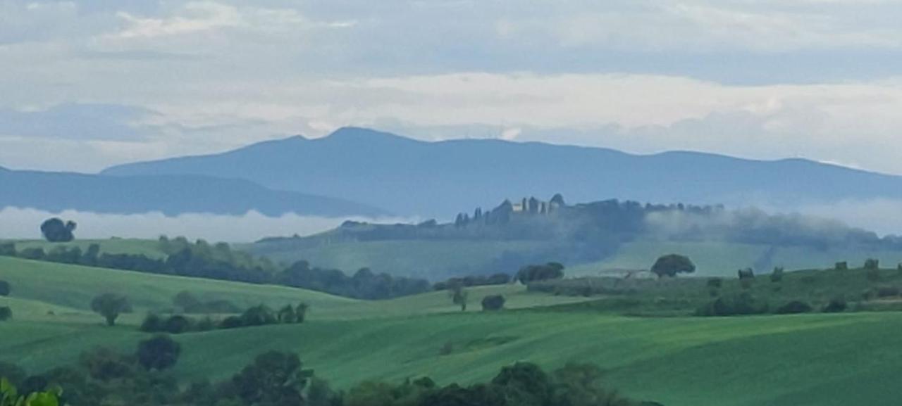 Agriturismo Podere Verdicchio Scansano Εξωτερικό φωτογραφία